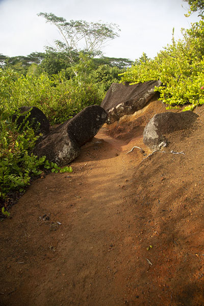 Foto van Trail running over the ridge near the Nid d'Aigle, the highest point of La DigueLa Digue - Seychellen