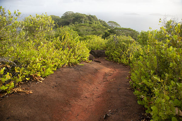 Picture of Ridge at the top of the hill near Nid d'AigleLa Digue - Seychelles