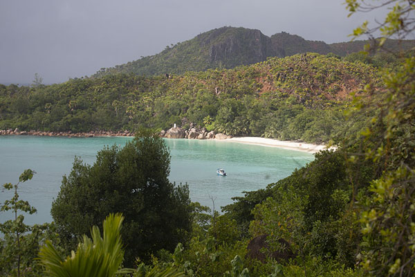 Foto van View of Anse Lazio from a hill, Praslin IslandSeychellen stranden - Seychellen
