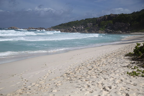 Foto van The beach of Grande Anse on La DigueSeychellen stranden - Seychellen