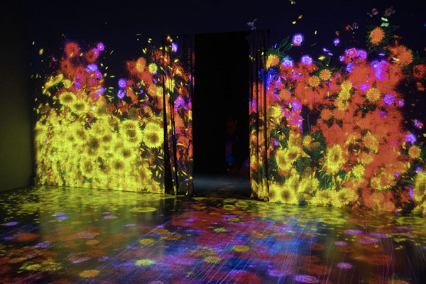 Foto di Digital flowers projected on the entrance of a room in the ArtScience Museum on Marina BayMarina Bay - Singapore