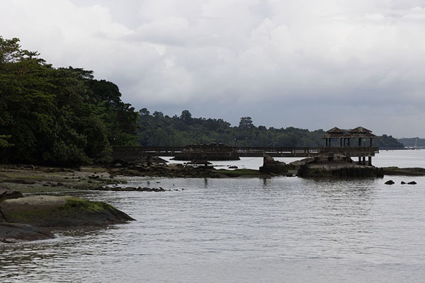 Picture of Pulau Ubin (Singapore): Coastline of the south side of Pulau Ubin, near the only village of the island