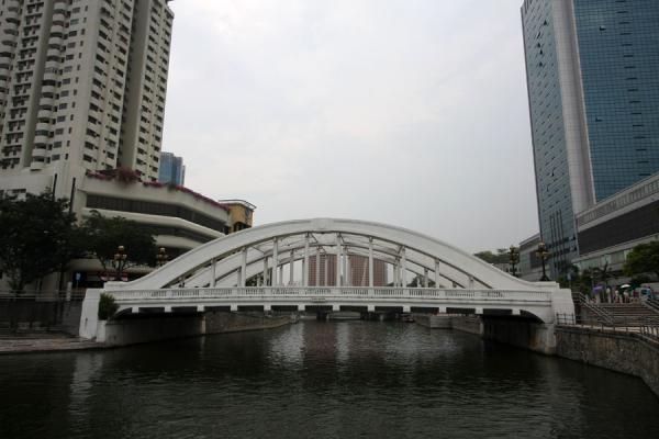 Foto van Elgin Bridge near the mouth of Singapore River - Singapore - Azië