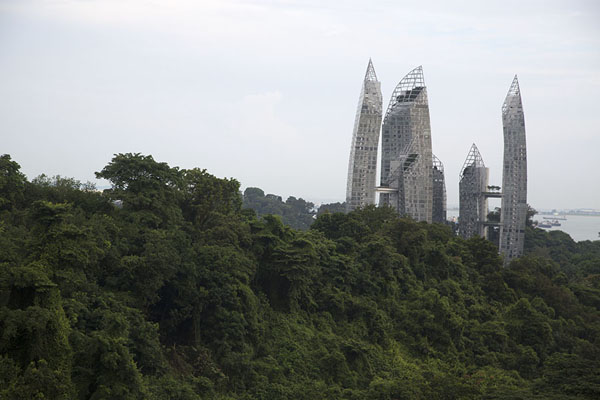 Picture of Southern ridges (Singapore): Forest and skyscraper seen from Henderson Wave