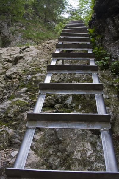 Foto van Metal ladder on the rocks of Slovak ParadiseSlowaaks Paradijs Nationaalpark - Slowakije