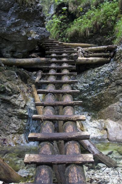 Wooden ladder facilitating a difficult stretch of a trail in Slovak Paradise | Slowaaks Paradijs Nationaalpark | Slowakije