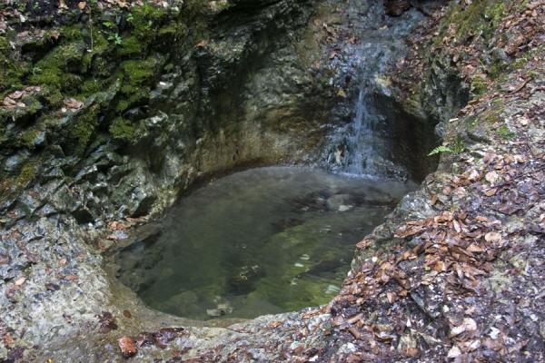 Foto van Small pool in Slovak ParadiseSlowaaks Paradijs Nationaalpark - Slowakije
