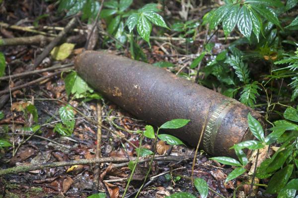 Foto van Japanese bomb lying in the jungle since World War IILelei - Salomonseilanden