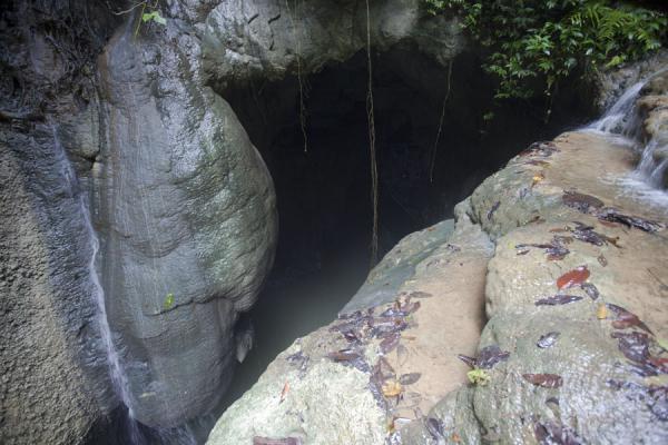 Foto van Looking into the cave with bats and stalagmitesLelei - Salomonseilanden