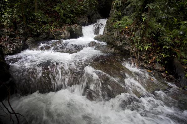 Foto van Water coming out of a cave, just before the split of Mataniko falls - Salomonseilanden - Oceanië