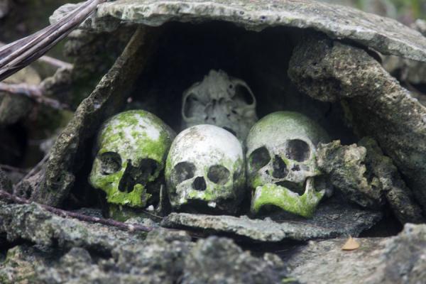 Close-up of a niche with skulls | Skull island | Solomon Islands