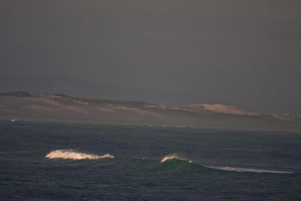 Picture of Arniston (South Africa): Sand dunes and waves north of Arniston