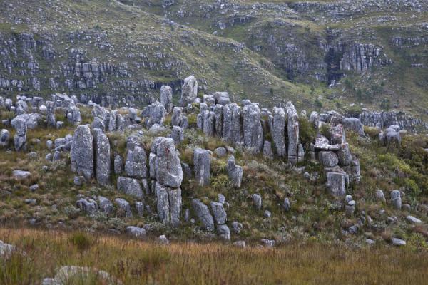 Rock formations on a hill in Hottentots Holland reserve | Riserva Hottentots Holland | Africa del Sud