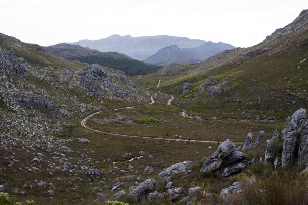 Dirt track leading through Hottentots Holland reserve | Réserve Hottentots Holland | Afrique du Sud