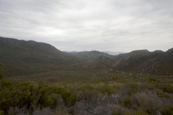 Photo de Landscape of mountains and fynbos in Hottentots Holland reserveRéserve Hottentots Holland - Afrique du Sud