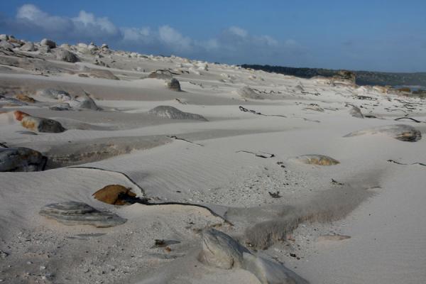 Picture of Wind constantly shaping and redefining the beach near the wreck of USS Thomas T. Tucker