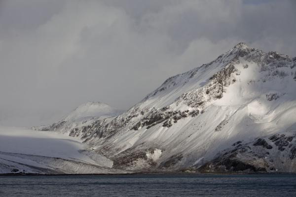 Picture of Fortuna to Stromness hike (South Georgia and South Sandwich Islands): Fresh snow on the mountains of Fortuna Bay