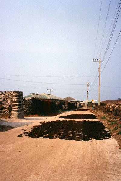 Picture of Drying seaweed on Cheju-Do