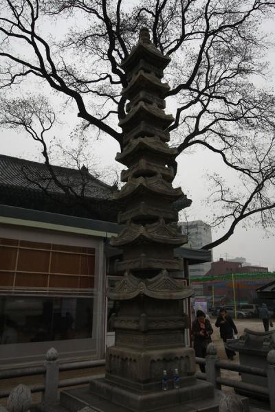 Picture of Jogyesa Temple (South Korea): Seven story stone pagoda and Chinese scholar tree at Jogyesa