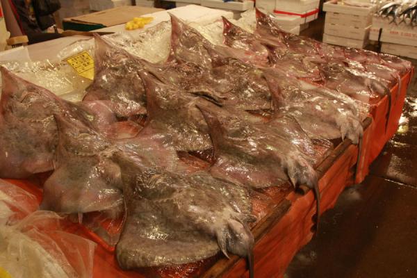 Picture of Stingrays neatly exposed at a stall in Noryangjin fish market