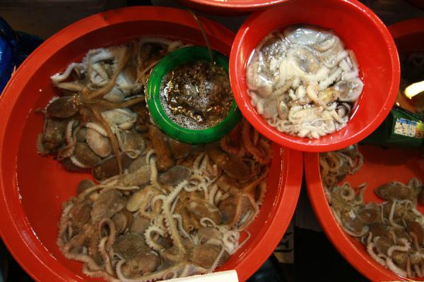 Octopus are a specialty in the Korean cuisine | Noryangjin Fish Market | South Korea