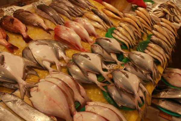 Picture of Noryangjin Fish Market (South Korea): Stacks of fish for sale at Noryangjin fish market