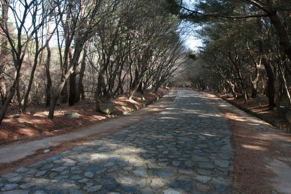 Path leading up to Seokguram | Caverna de Sokkuram | Corea del Sur