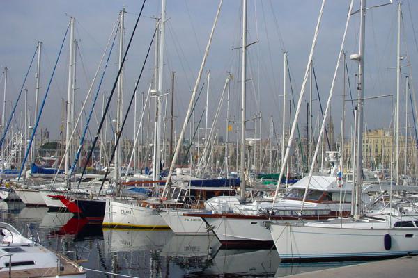 Picture of Barceloneta (Spain): Harbour of Barceloneta, Barcelona