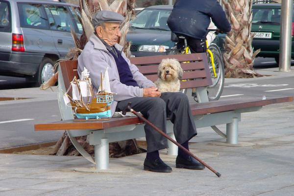 Picture of Barceloneta (Spain): Old man on bench in Barceloneta, Barcelona