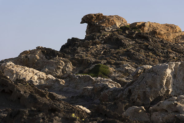 Picture of Cap de Creus natural park (Spain): Rock formation resembling the head of an animal on the coastline of Cap de Creus natural park