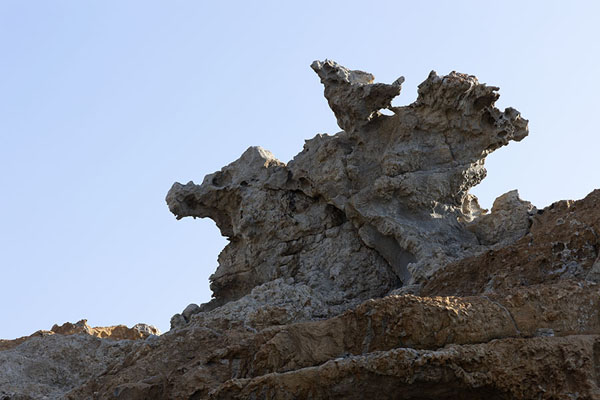 Close-up of the Eagle, one of the animal-like rock formations of Cap de Creus natural park | Parc naturel Cap de Creus | l'Espagne