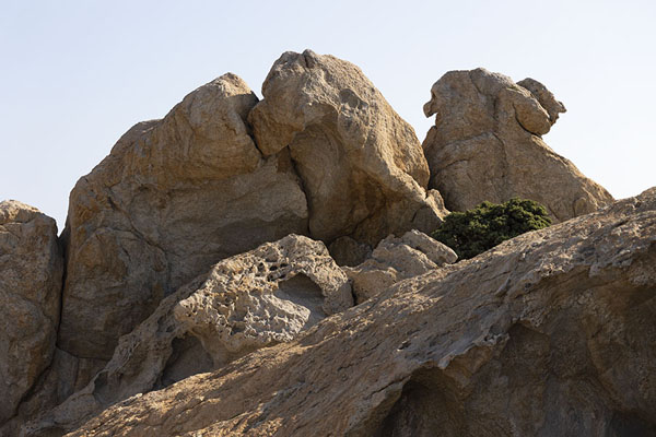 Picture of The Camel, one of the rock formations that inspired Salvador DalíCap de Creus - Spain