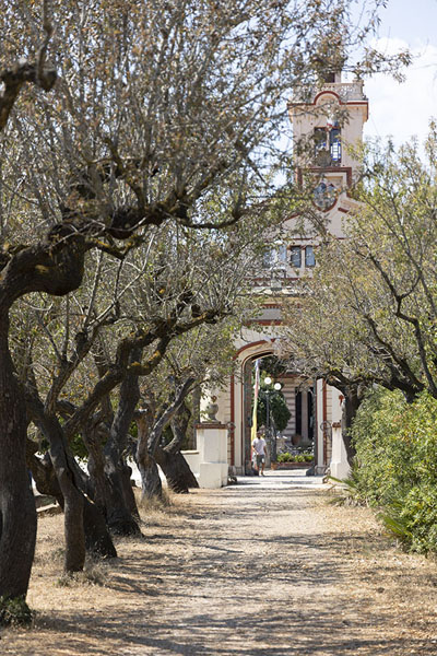 Line of trees leading to the entrance of Sakya Tashi Ling monastery | Sakya Tashi Ling monastery | Spain