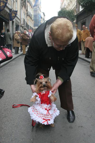 Picture of Dog or child - this woman anyway dressed up her dog like a girl