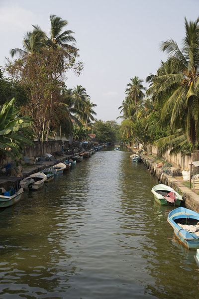 Picture of Hamilton Canal (Sri Lanka): View from a bridge over the Hamilton Canal