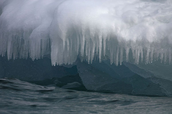 Icicles hanging from an iceberg floating in Hornsund | Hornsund | Svalbard and Jan Mayen