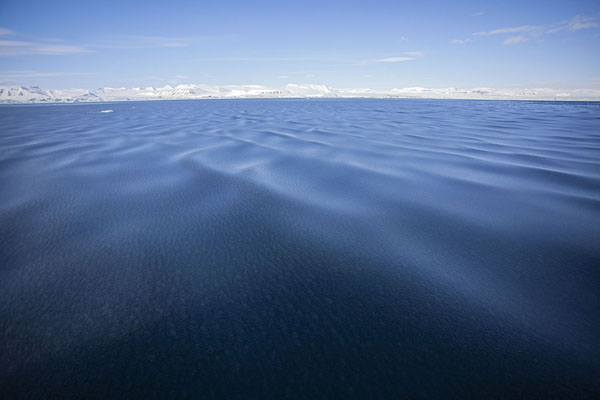 Tiny pieces of ice making the waves look like oily water | Storfjorden ijsformaties | 