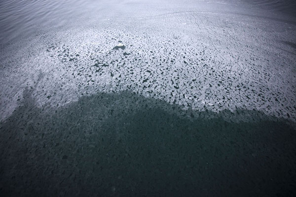 Foto de Pattern of ice in StorfjordenStorfjorden - 
