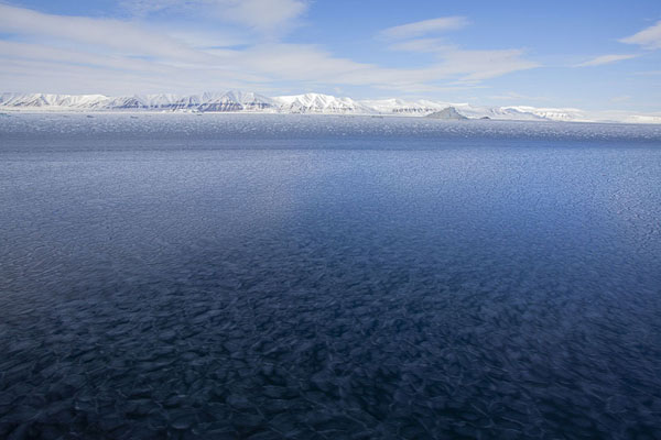 Thousands of small pieces of ice frozen into Storfjorden | Storfjorden ice formations | Svalbard and Jan Mayen
