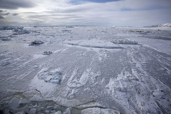Foto de Fast ice with frozen pieces of ice in StorfjordenStorfjorden - 