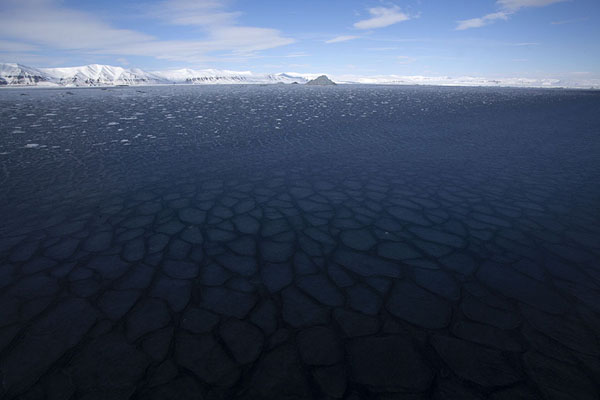 Foto de Mosaic of ice in StorfjordenStorfjorden - 
