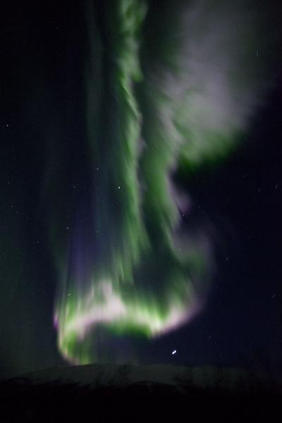 Bright white, green, and purple light making for an exciting northern lights show | Abisko Northern Lights | Sweden