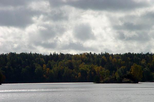 Foto van Trees and water at Delsjön, Gothenburg - Zweden - Europa