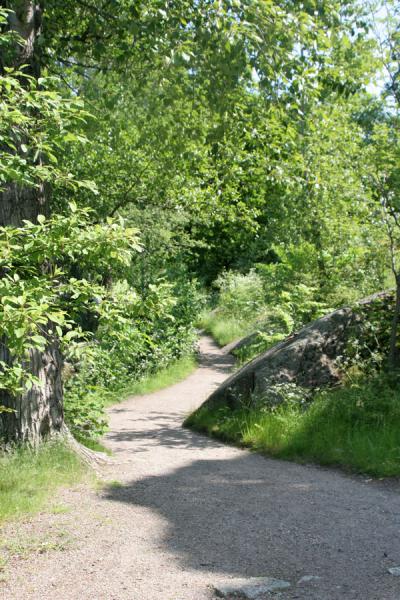 Picture of Djurgården: one of the small footpaths - Sweden - Europe