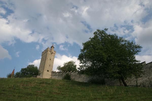 Picture of Musegg wall, Männli tower and tree just outside the old town wall - Switzerland - Europe