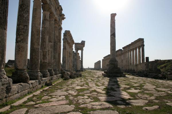 Foto van Votive column in cardo of Apamea - Syrië - Azië