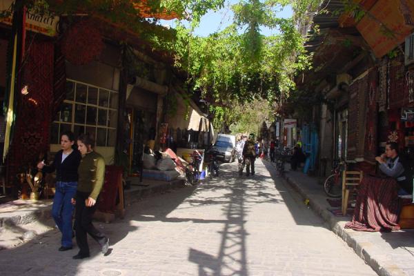 Picture of Damascus' old city (Syria): Vines hanging over street in Damascus old city