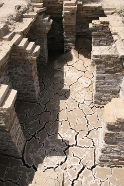 Picture of Ruins of MariMari - Syria