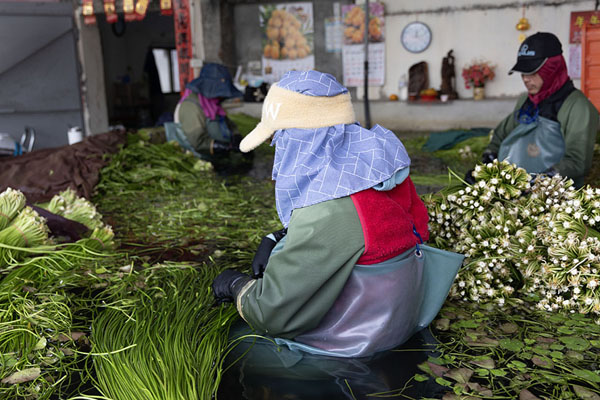 Foto di People cleaning vegetables in a small poolMeinong - Taiwan
