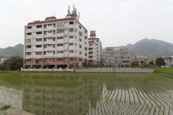 Picture of Meinong (Taiwan): Apartment block reflected in a rice field